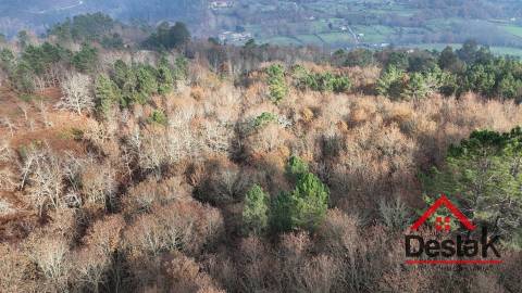 Terreno com 14.000 m² – Parcialmente Urbanizável, a 1 Minuto do Centro de São Pedro do Sul