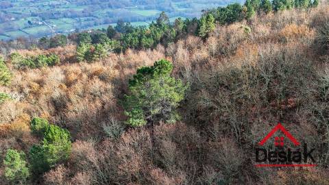 Terreno com 14.000 m² – Parcialmente Urbanizável, a 1 Minuto do Centro de São Pedro do Sul