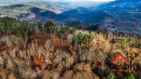 Terreno com 14.000 m² – Parcialmente Urbanizável, a 1 Minuto do Centro de São Pedro do Sul