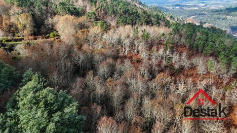 Terreno com 14.000 m² – Parcialmente Urbanizável, a 1 Minuto do Centro de São Pedro do Sul
