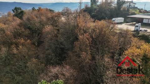 Terreno com 14.000 m² – Parcialmente Urbanizável, a 1 Minuto do Centro de São Pedro do Sul