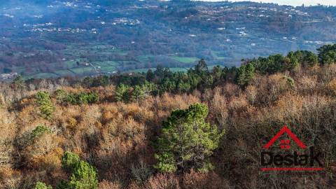 Terreno com 14.000 m² – Parcialmente Urbanizável, a 1 Minuto do Centro de São Pedro do Sul