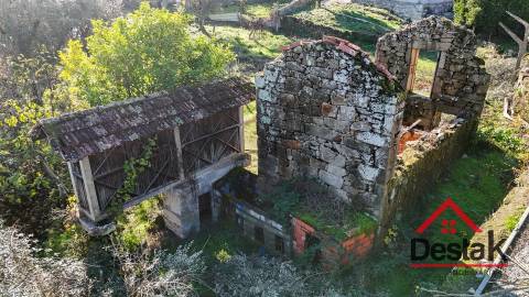 Quinta com ruina em pedra e anexos em Real das Donas, Vouzela