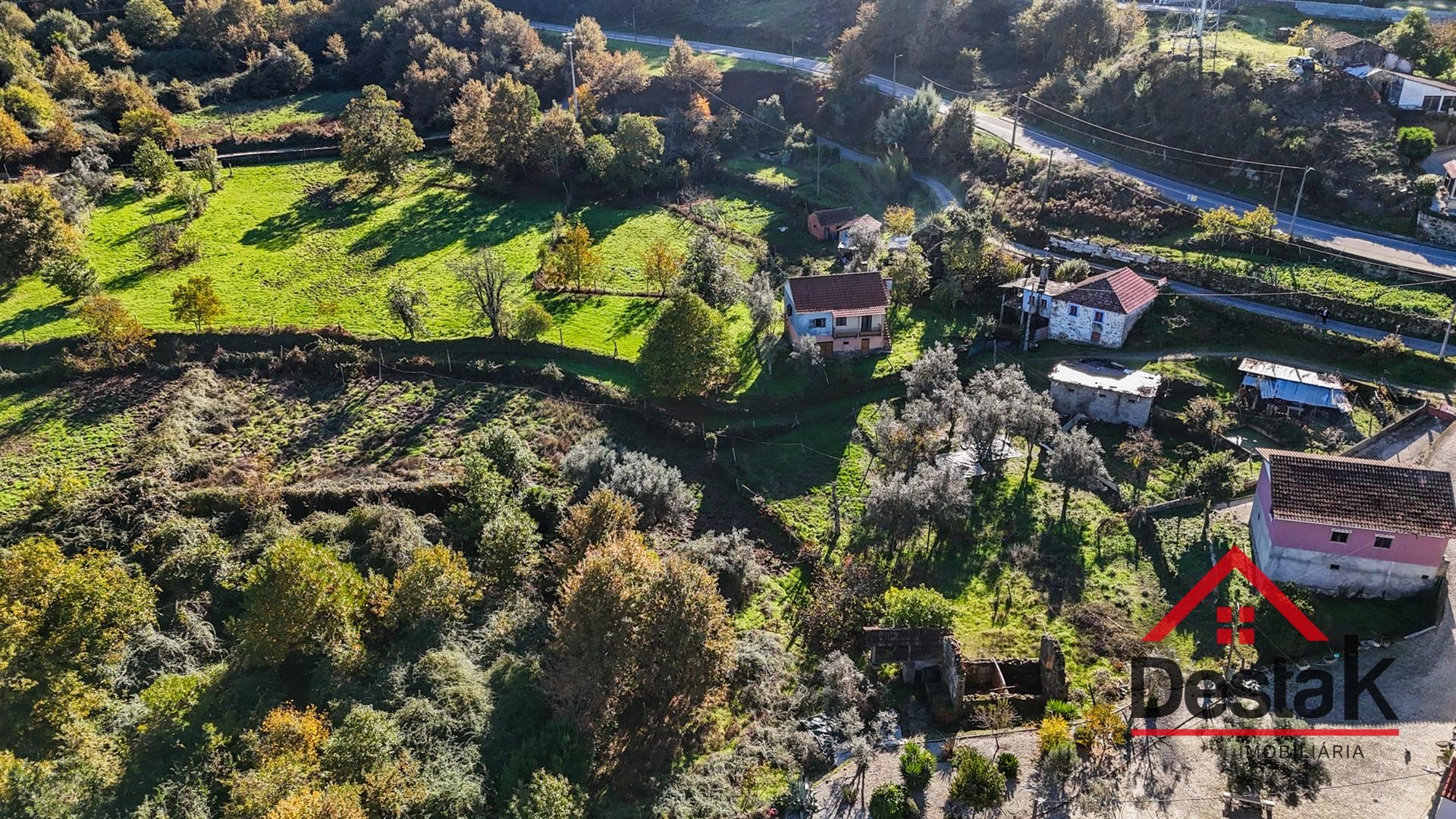 Quinta com ruina em pedra e anexos em Real das Donas, Vouzela