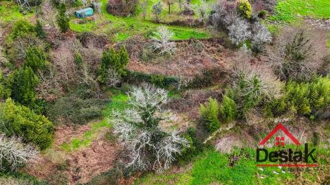 Quinta com área de 1 hectare para venda em Carvalhais, São Pedro do Sul