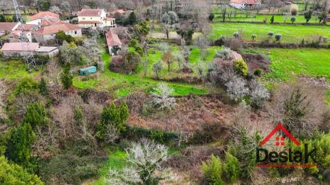 Quinta com área de 1 hectare para venda em Carvalhais, São Pedro do Sul