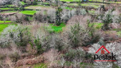Quinta com área de 1 hectare para venda em Carvalhais, São Pedro do Sul
