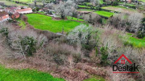 Quinta com área de 1 hectare para venda em Carvalhais, São Pedro do Sul