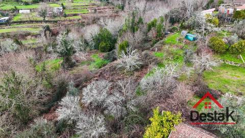 Quinta com área de 1 hectare para venda em Carvalhais, São Pedro do Sul