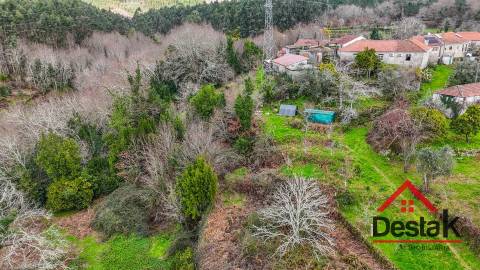 Quinta com área de 1 hectare para venda em Carvalhais, São Pedro do Sul