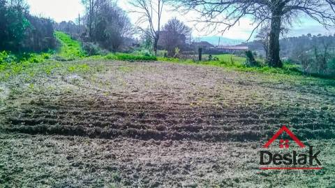 Quinta com área de 1 hectare para venda em Carvalhais, São Pedro do Sul