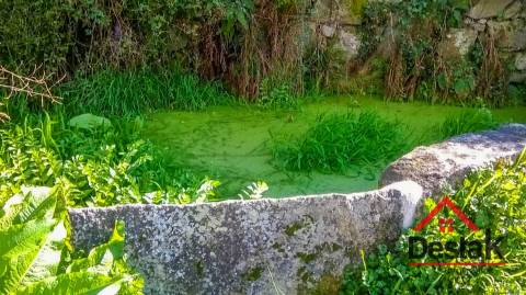 Quinta com área de 1 hectare para venda em Carvalhais, São Pedro do Sul