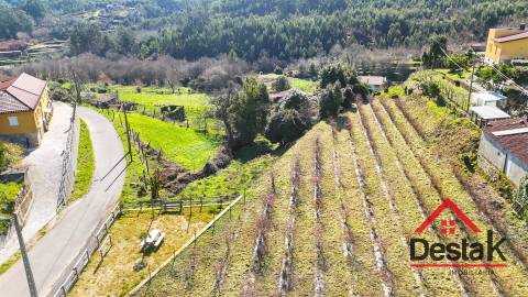 Terreno com viabilidade de construção em Quintela, Oliveira De Frades