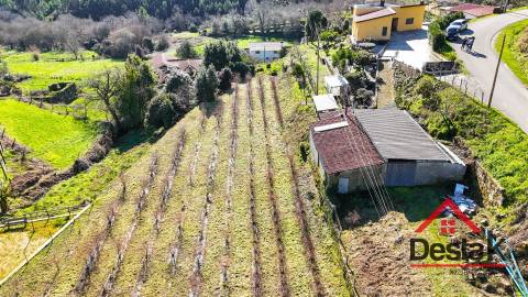 Terreno com viabilidade de construção em Quintela, Oliveira De Frades