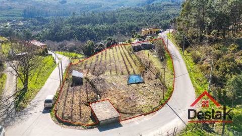 Terreno com viabilidade de construção em Quintela, Oliveira De Frades