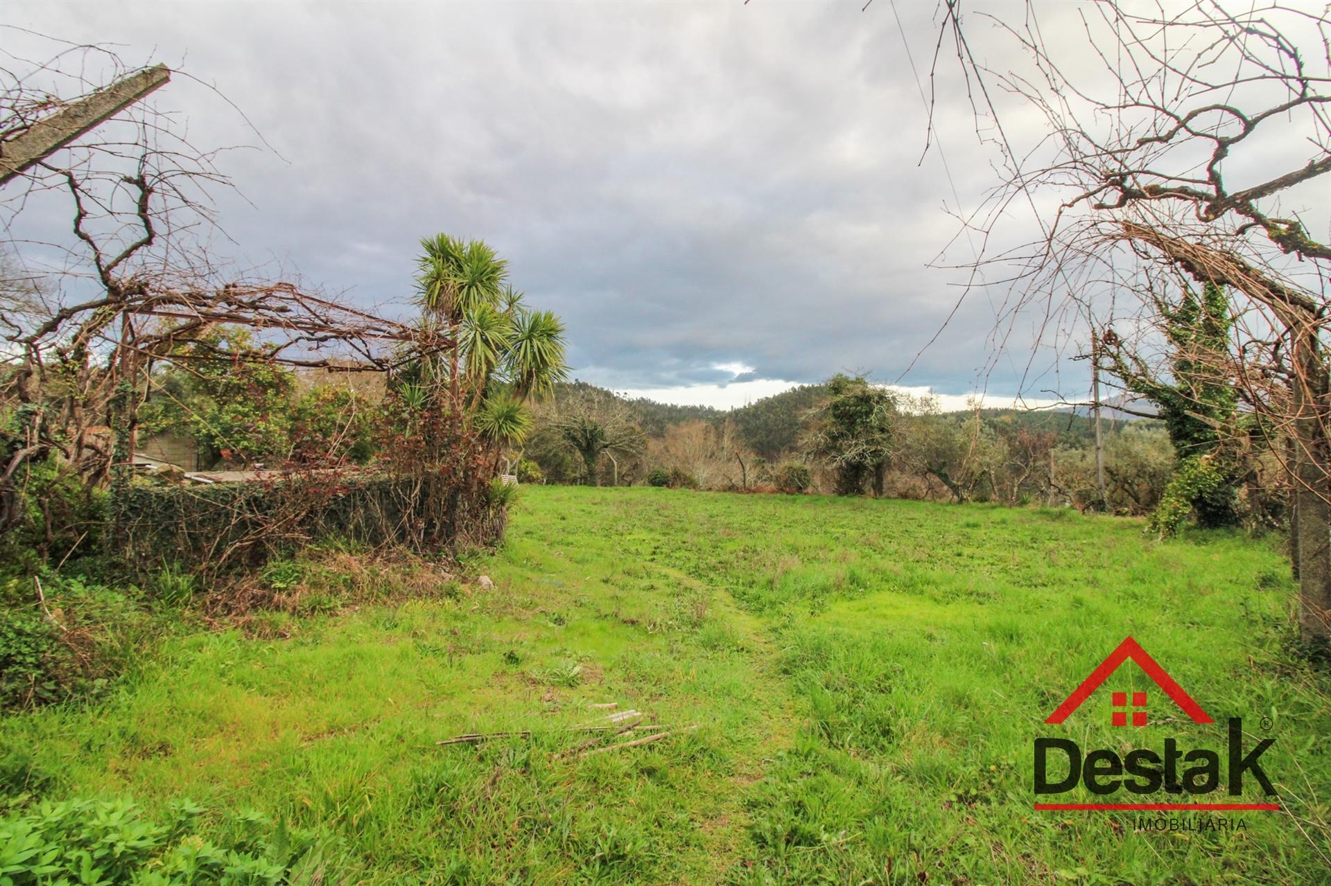 Moradia T3 em Covelas - Serrazes