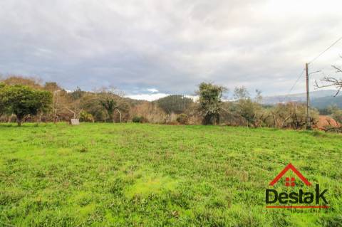 Moradia T3 em Covelas - Serrazes