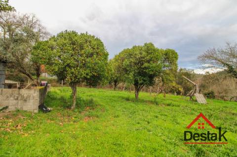 Moradia T3 em Covelas - Serrazes