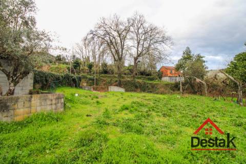 Moradia T3 em Covelas - Serrazes