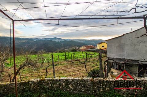 Moradia T3 em Covelas - Serrazes