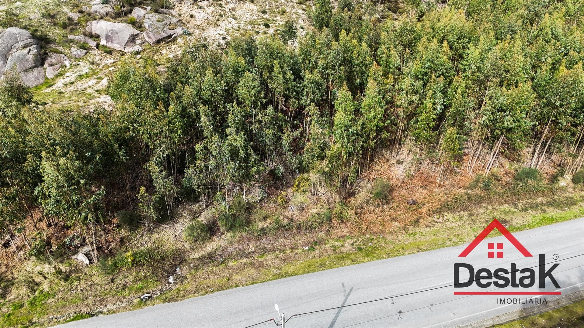 Terreno para venda em Oliveira de Frades