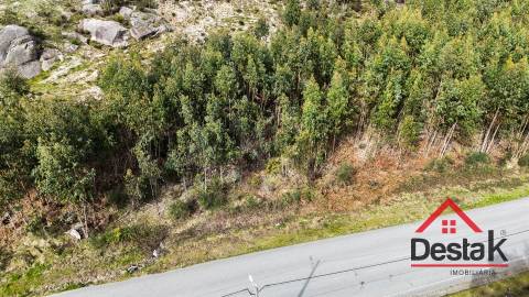 Terreno para venda em Oliveira de Frades