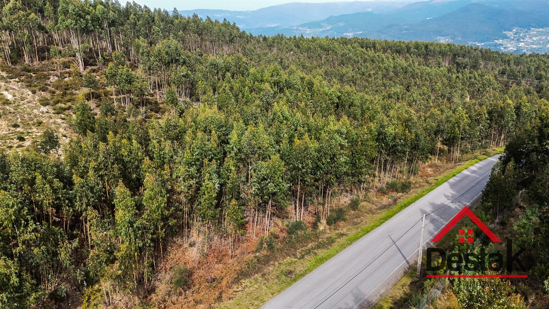 Terreno para venda em Oliveira de Frades