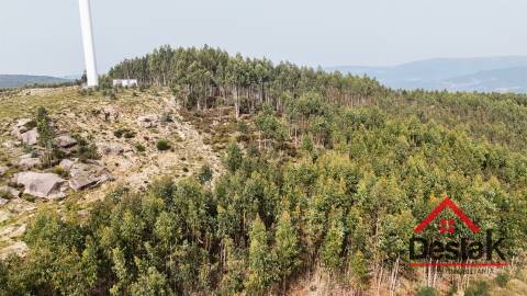 Terreno para venda em Oliveira de Frades