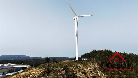 Terreno para venda em Oliveira de Frades
