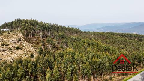 Terreno para venda em Oliveira de Frades