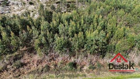 Terreno para venda em Oliveira de Frades
