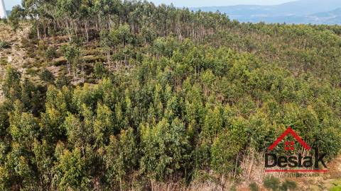 Terreno para venda em Oliveira de Frades