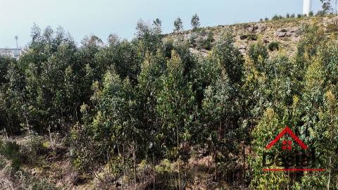 Terreno para venda em Oliveira de Frades