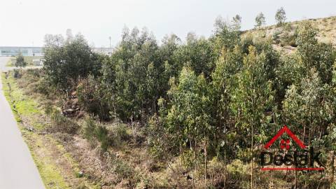 Terreno para venda em Oliveira de Frades