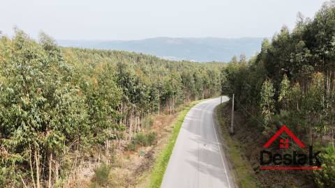 Terreno para venda em Oliveira de Frades
