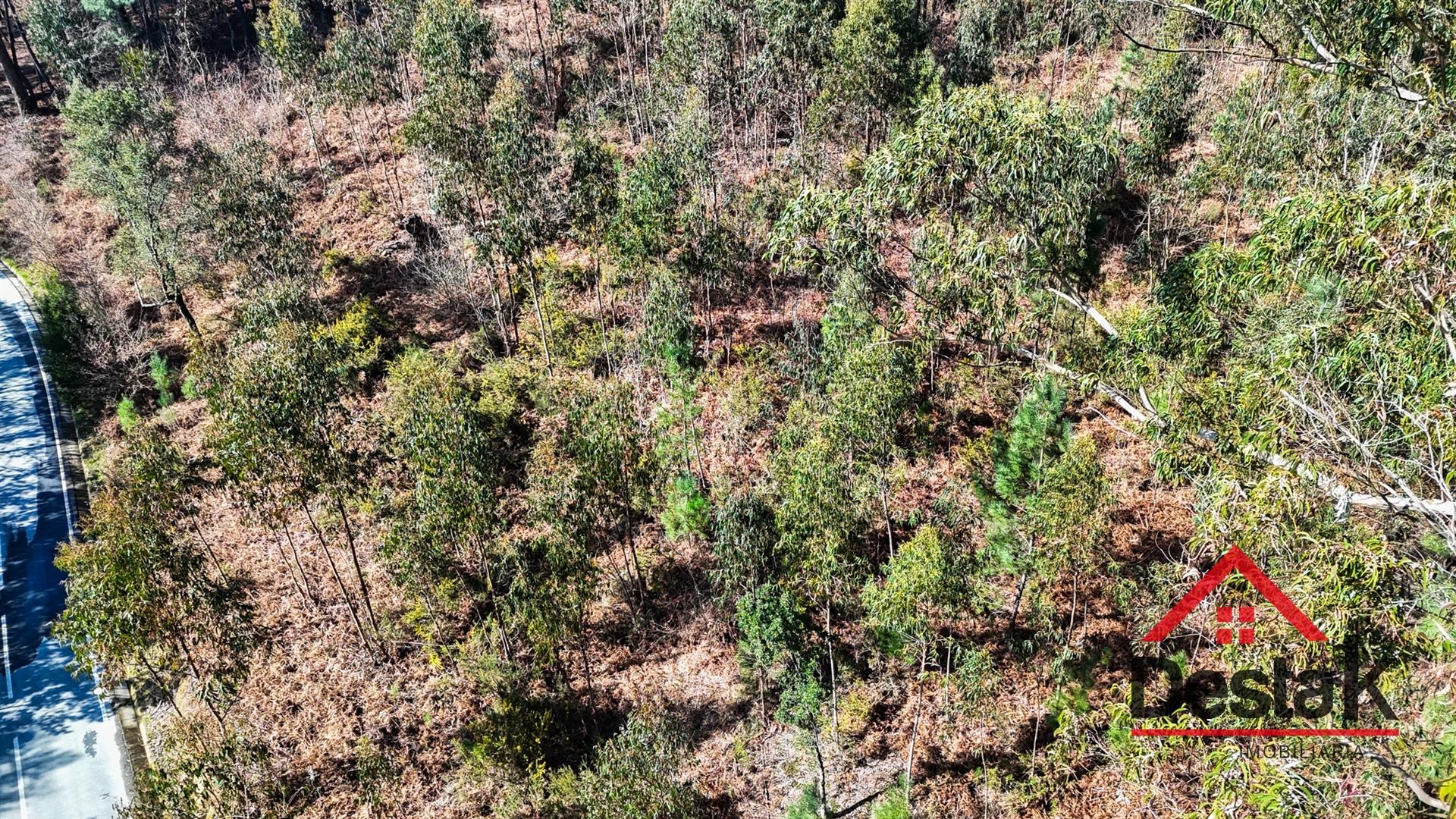 Terreno para venda em São Pedro do Sul