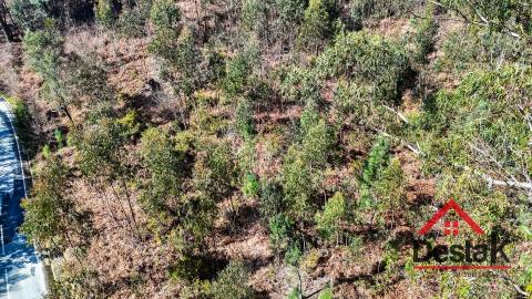 Terreno para venda em São Pedro do Sul