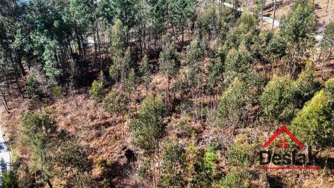 Terreno para venda em São Pedro do Sul