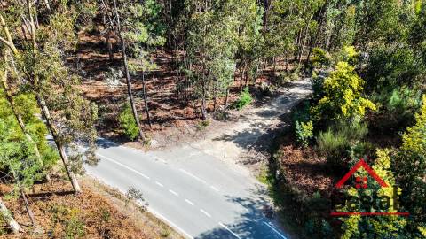Terreno para venda em São Pedro do Sul