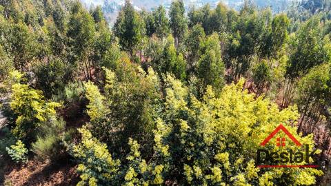 Terreno para venda em São Pedro do Sul
