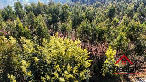 Terreno para venda em São Pedro do Sul