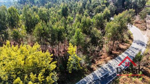 Terreno para venda em São Pedro do Sul