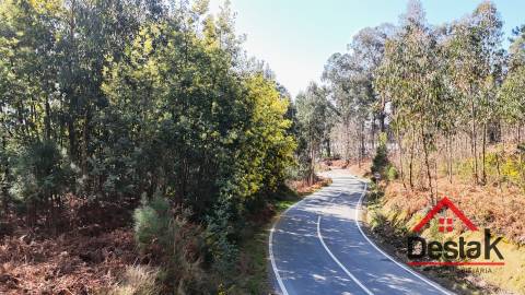 Terreno para venda em São Pedro do Sul