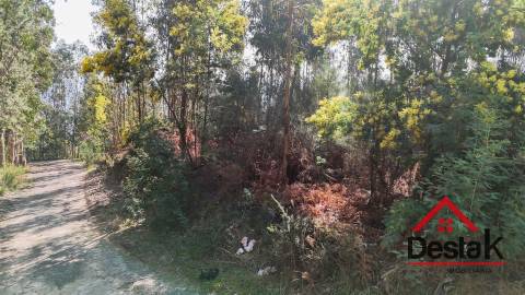 Terreno para venda em São Pedro do Sul