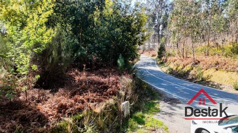 Terreno para venda em São Pedro do Sul