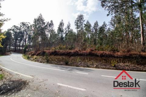 Terreno para venda em São Pedro do Sul