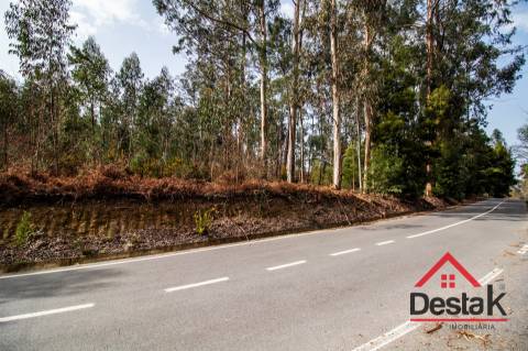 Terreno para venda em São Pedro do Sul