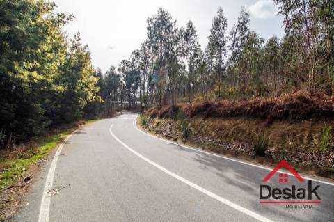 Terreno para venda em São Pedro do Sul