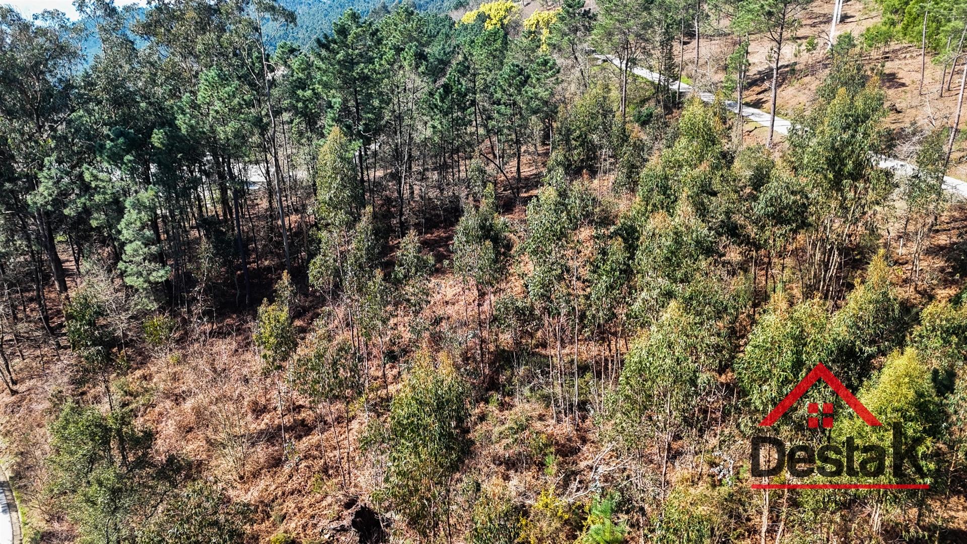 Terreno para venda em São Pedro do Sul