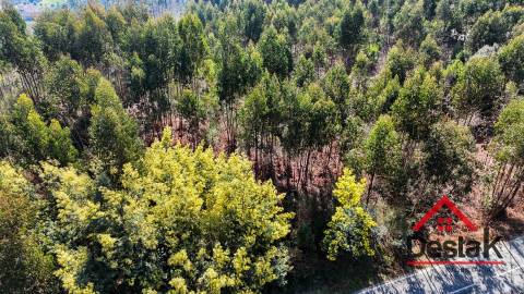 Terreno para venda em São Pedro do Sul